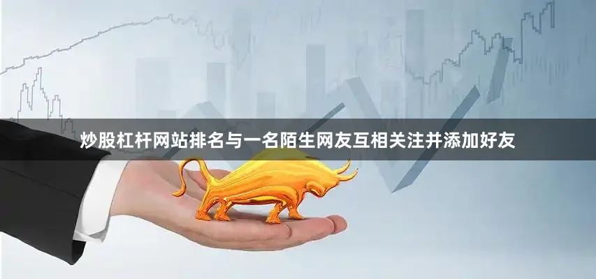 炒股杠杆网站排名与一名陌生网友互相关注并添加好友
